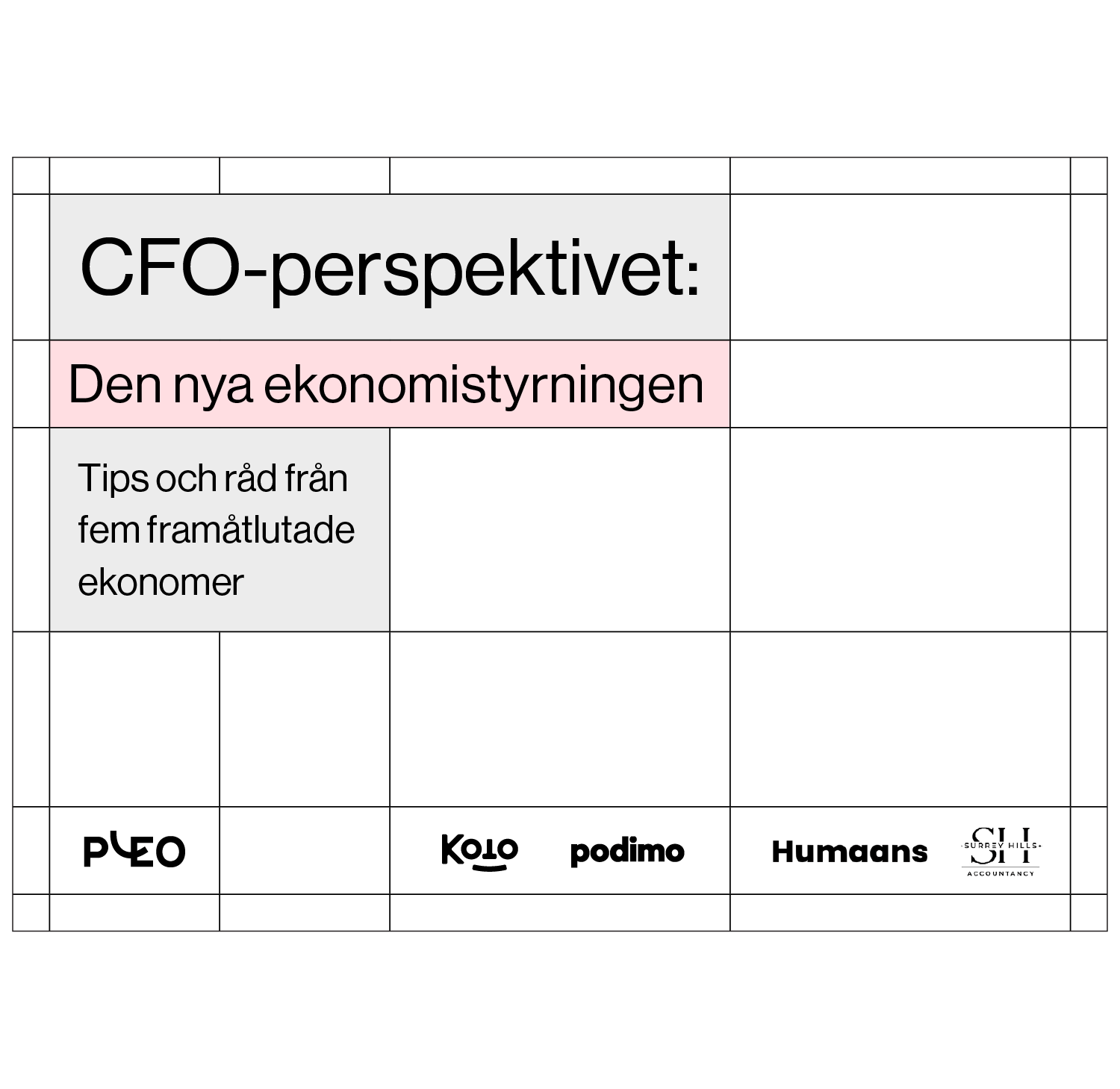 CFO-perspecktivet
