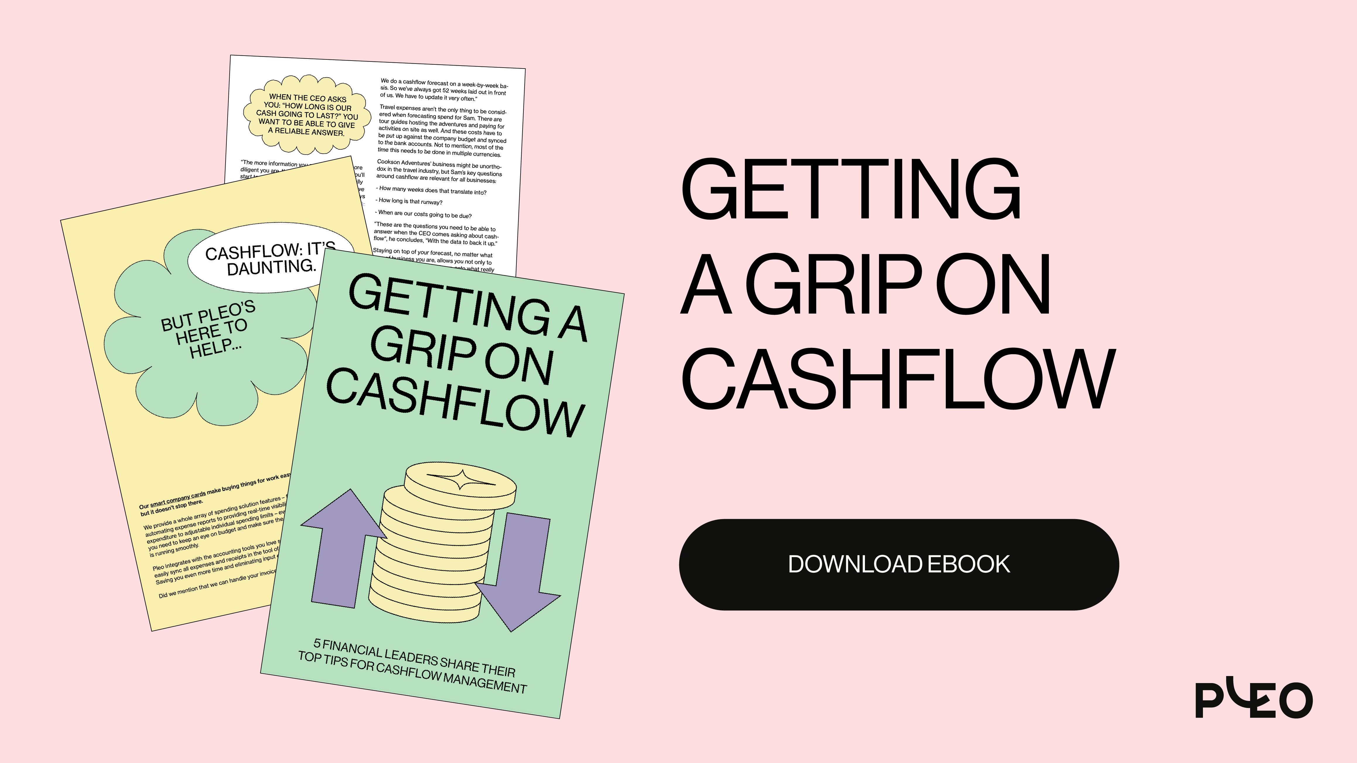 Download Getting a Grip on Cashflow eBook