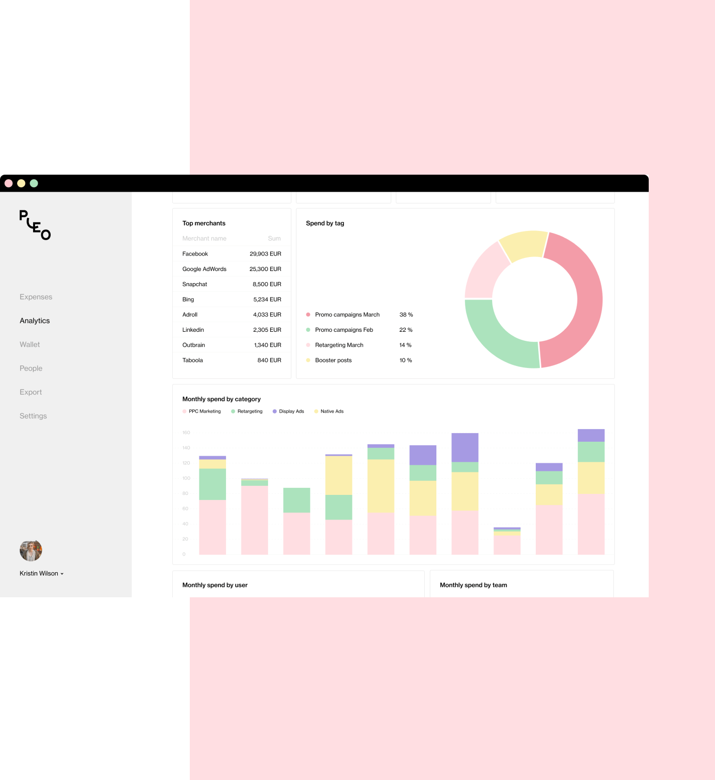 Datenanalyse mit Pleo