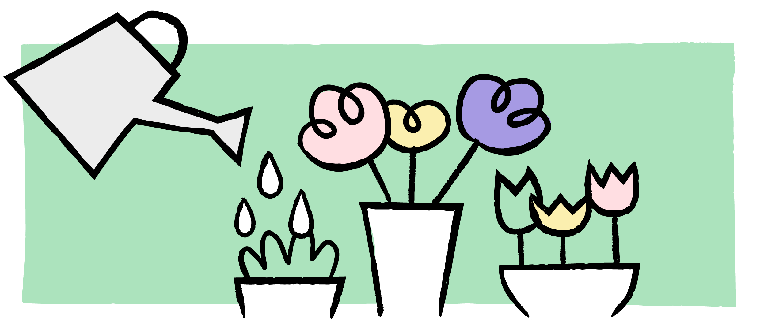 Watering can and flowers
