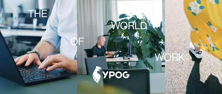 The World of Work: YPOG