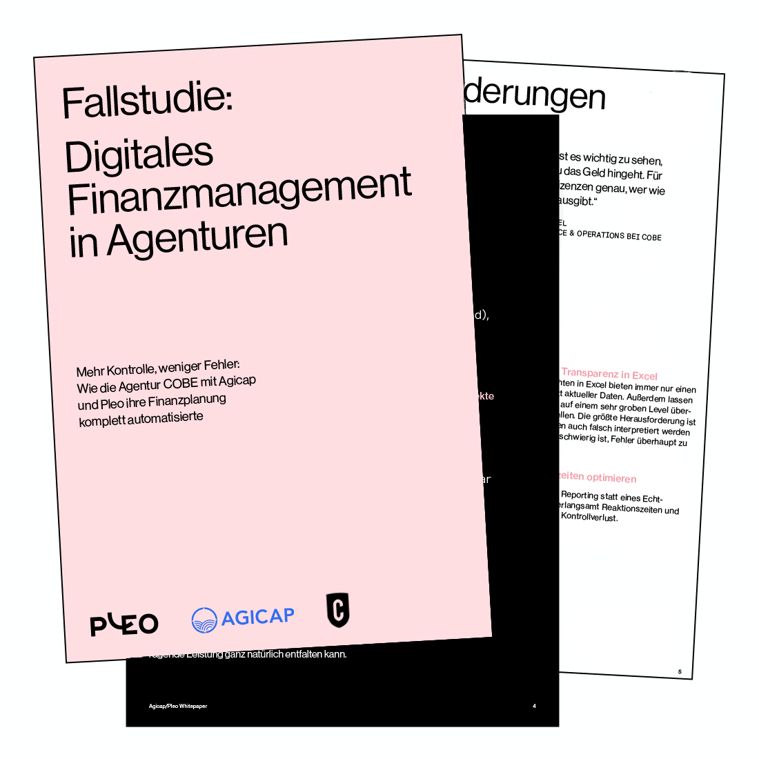 Fallstudie: Digitales Finanzmanagement in Agenturen