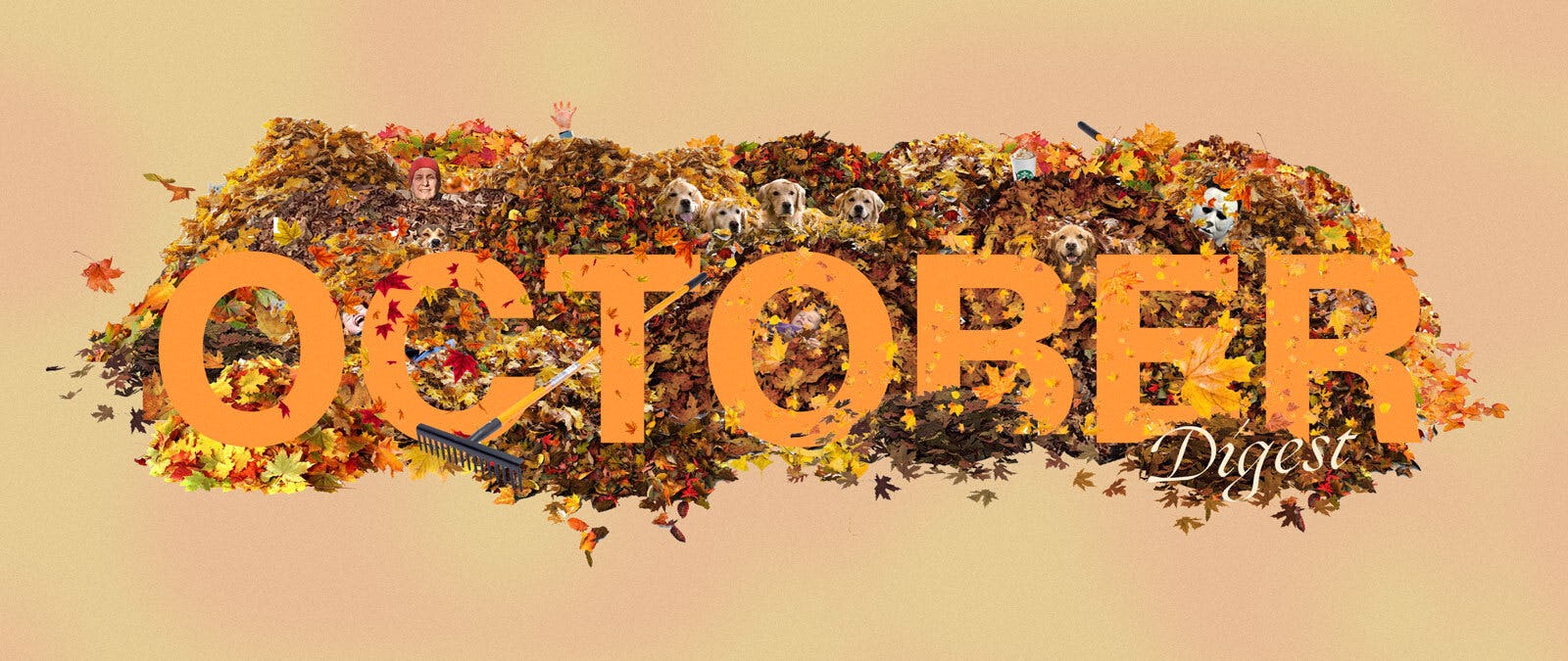 Digest October 2020