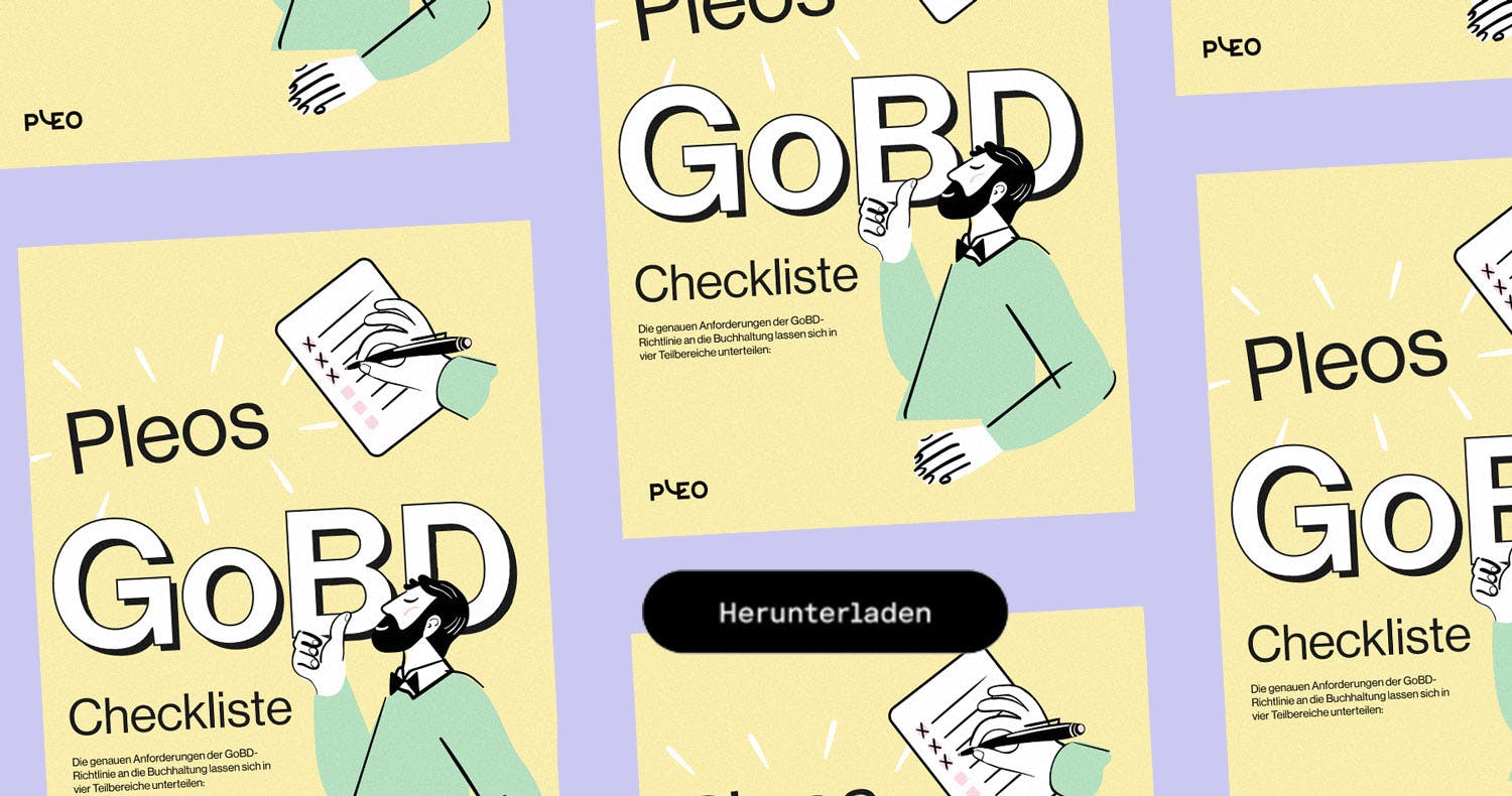 Pleos GoBD-Checkliste herunterladen