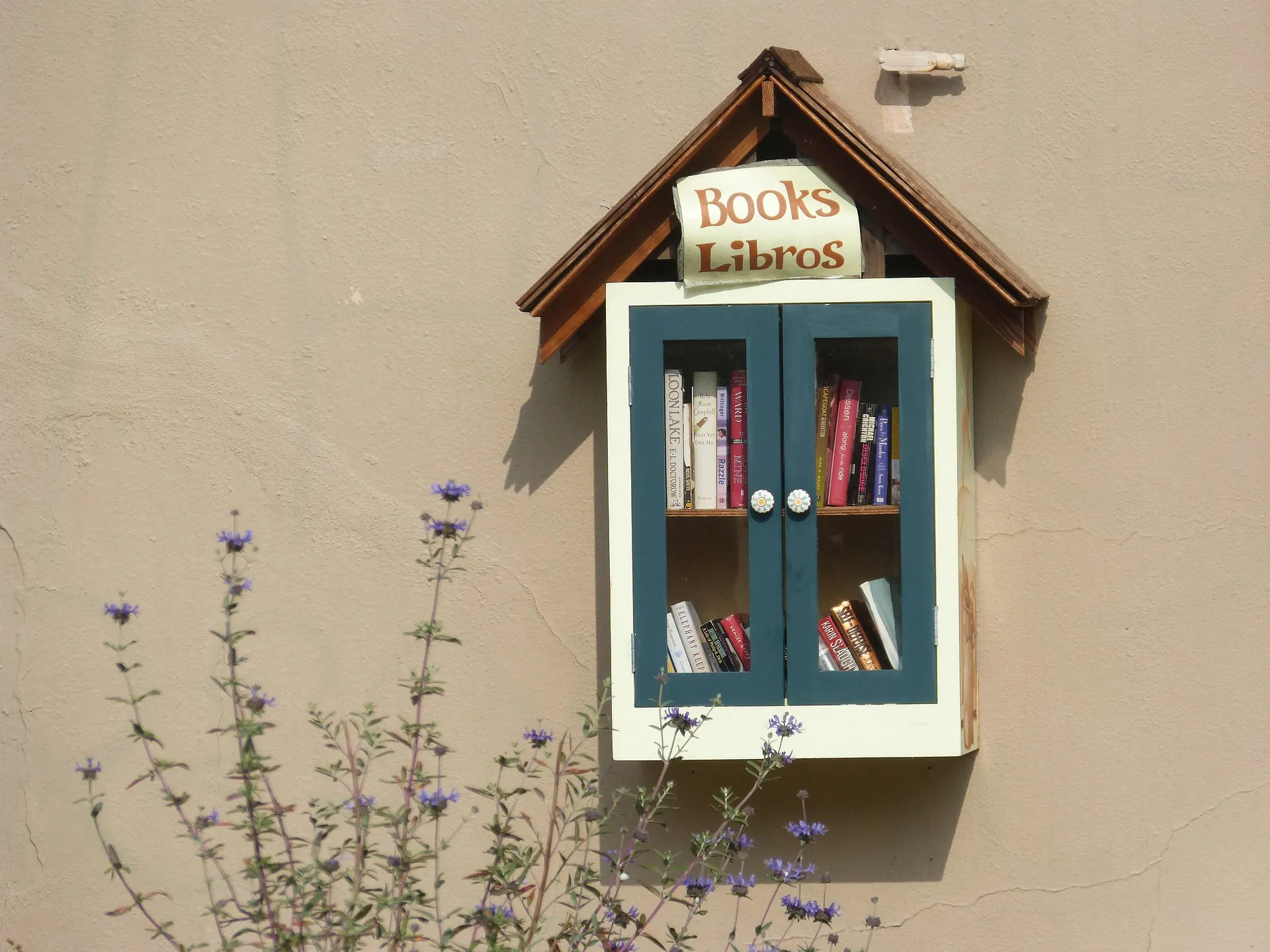 Start a Library