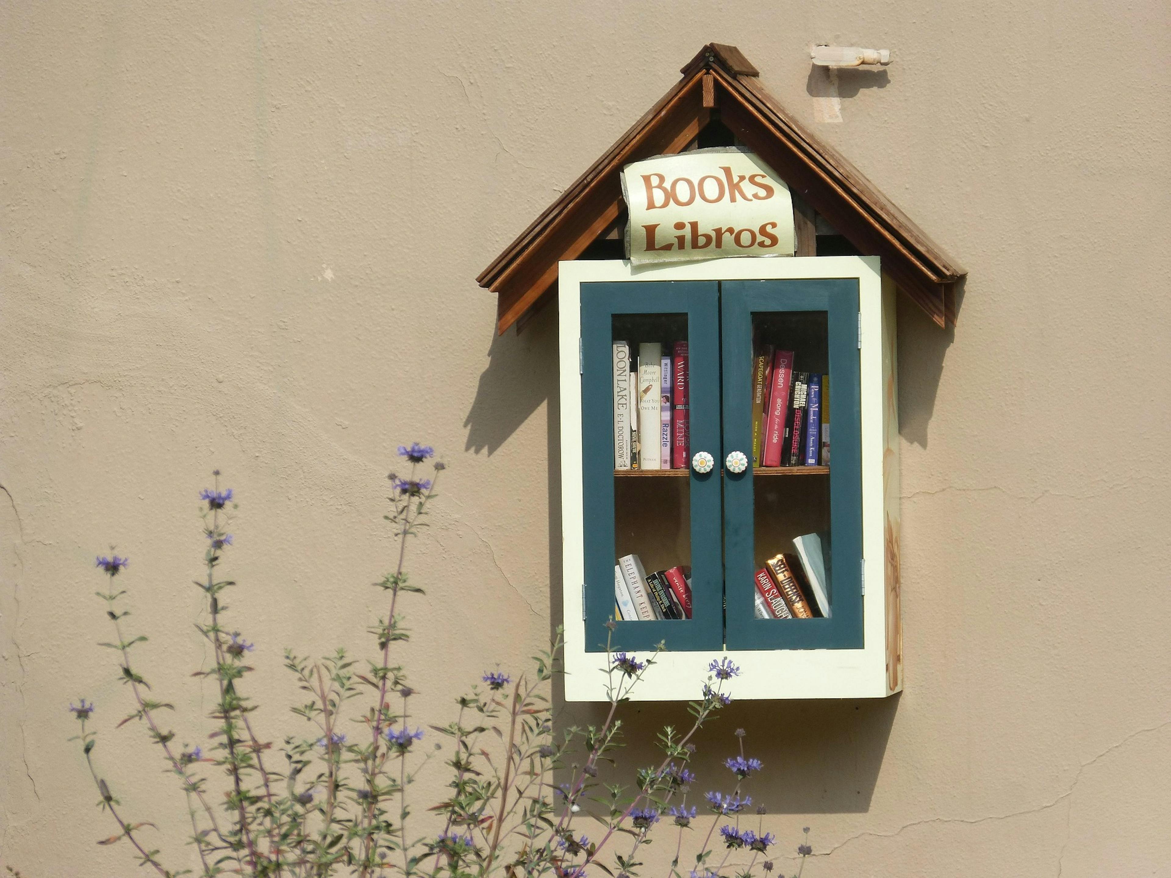 A Little Free Library hanging on a wall with flowers in the foreground. 