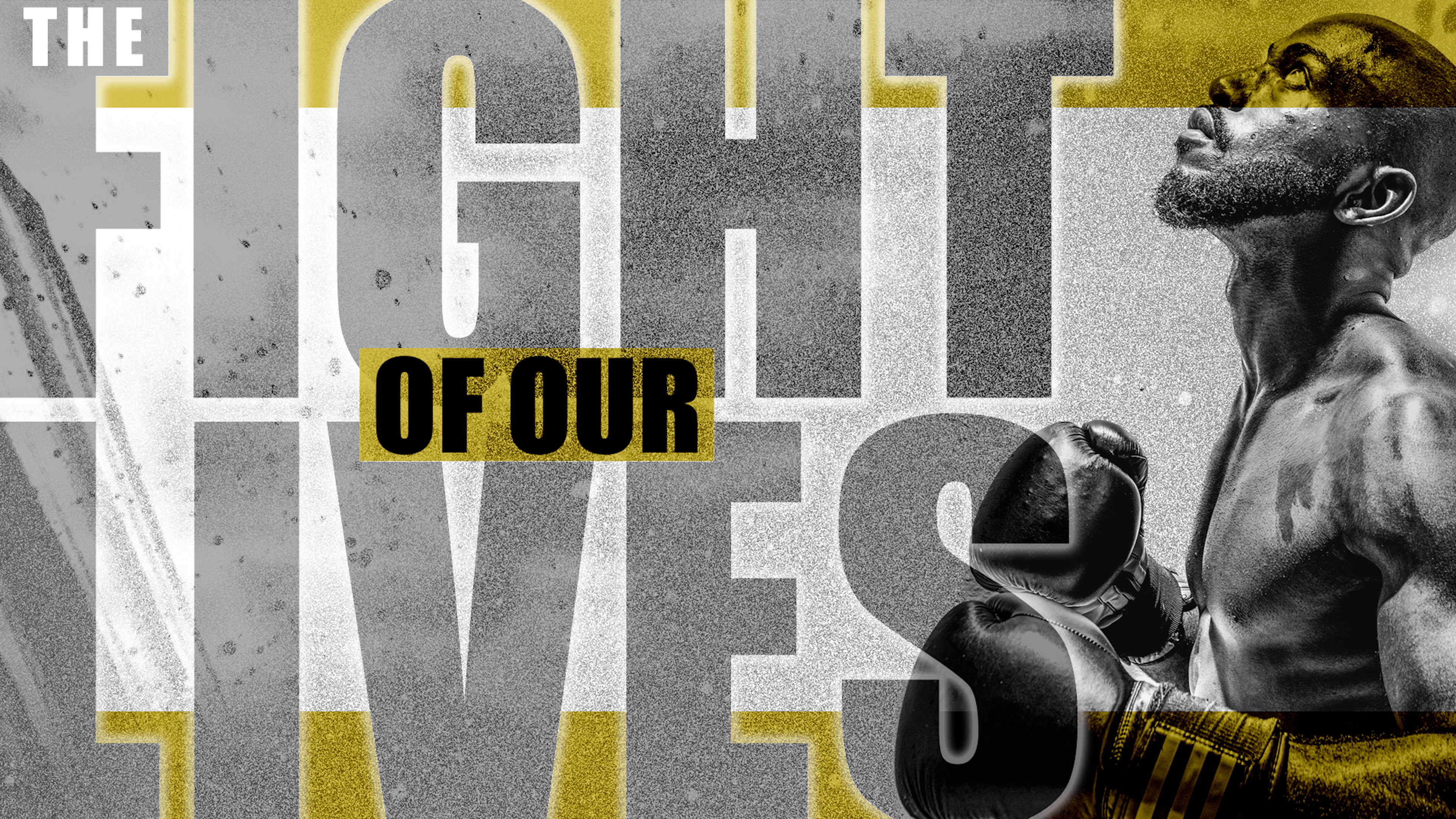 The Good Fight