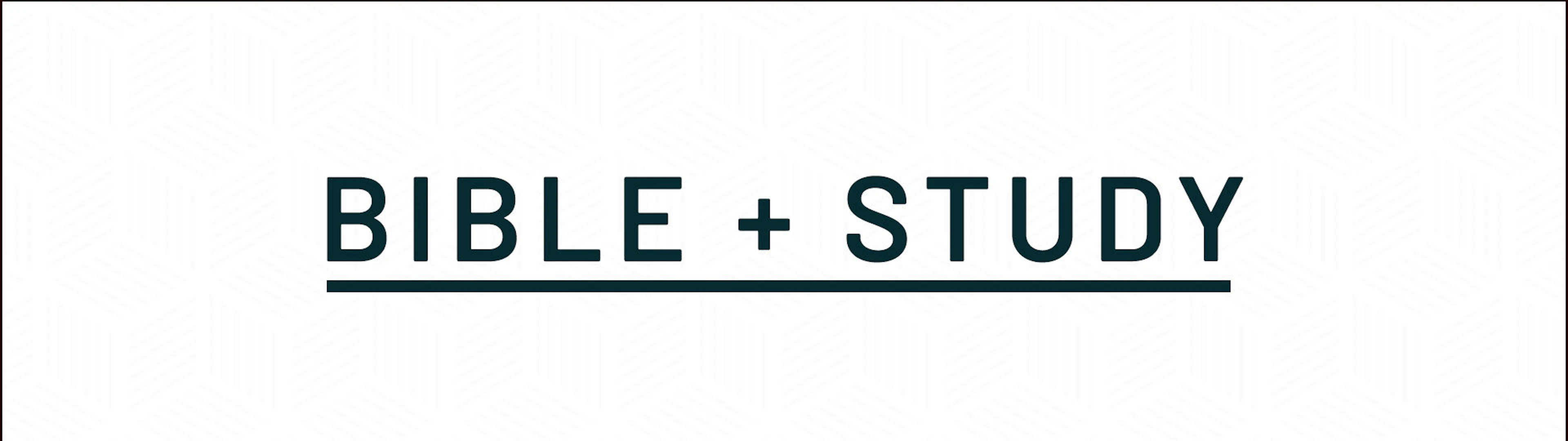 Bible Study groups
