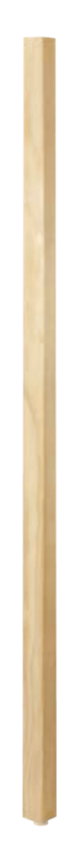 5005