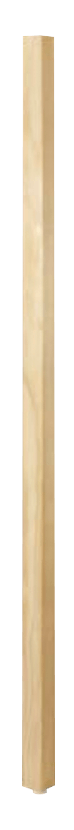 5005