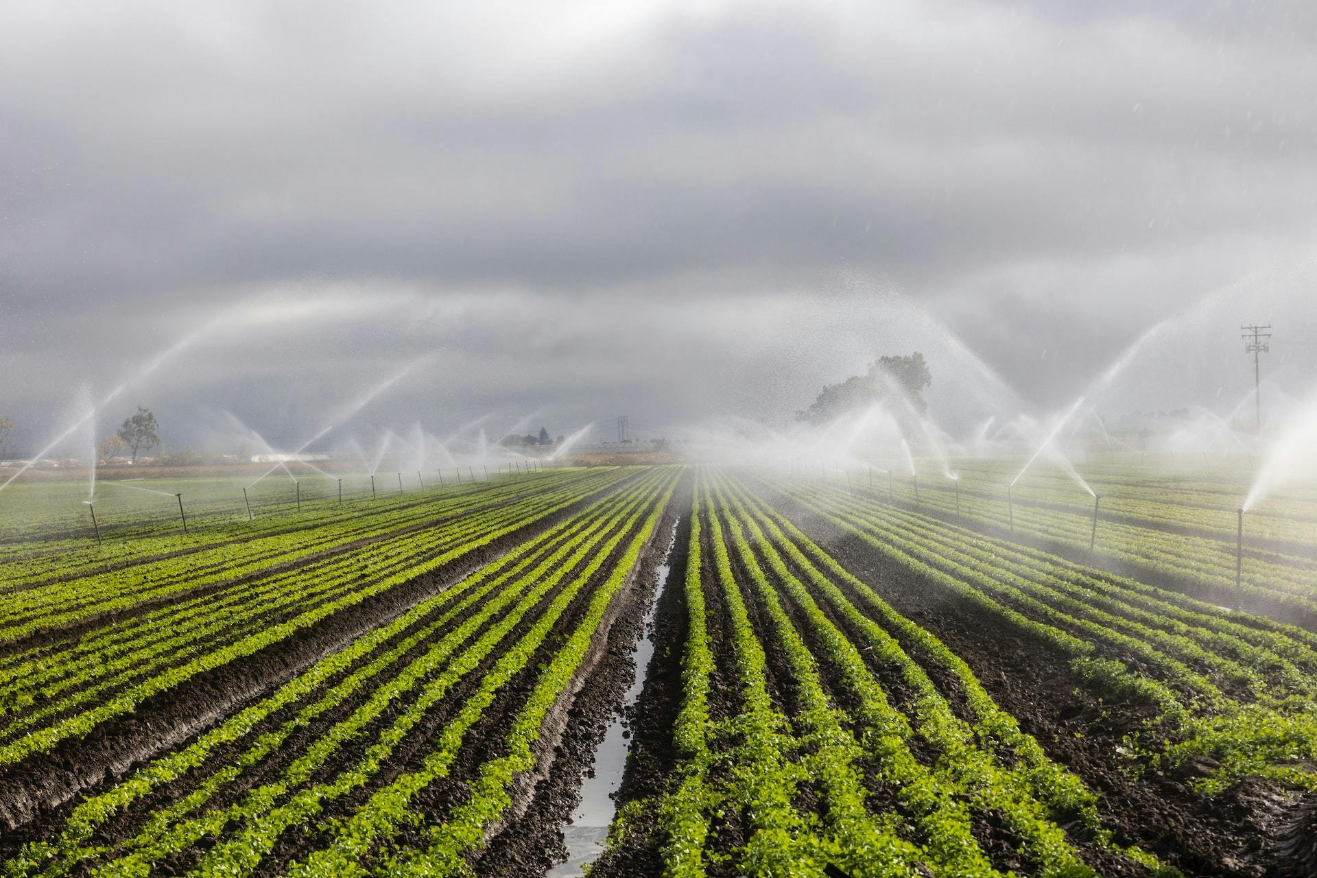 Large-scale Irrigation Techniques