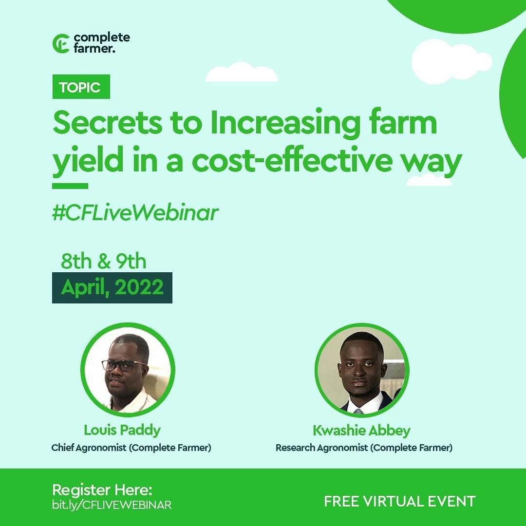 Secrets to Increasing Farm Yield in a Cost-Effective Way