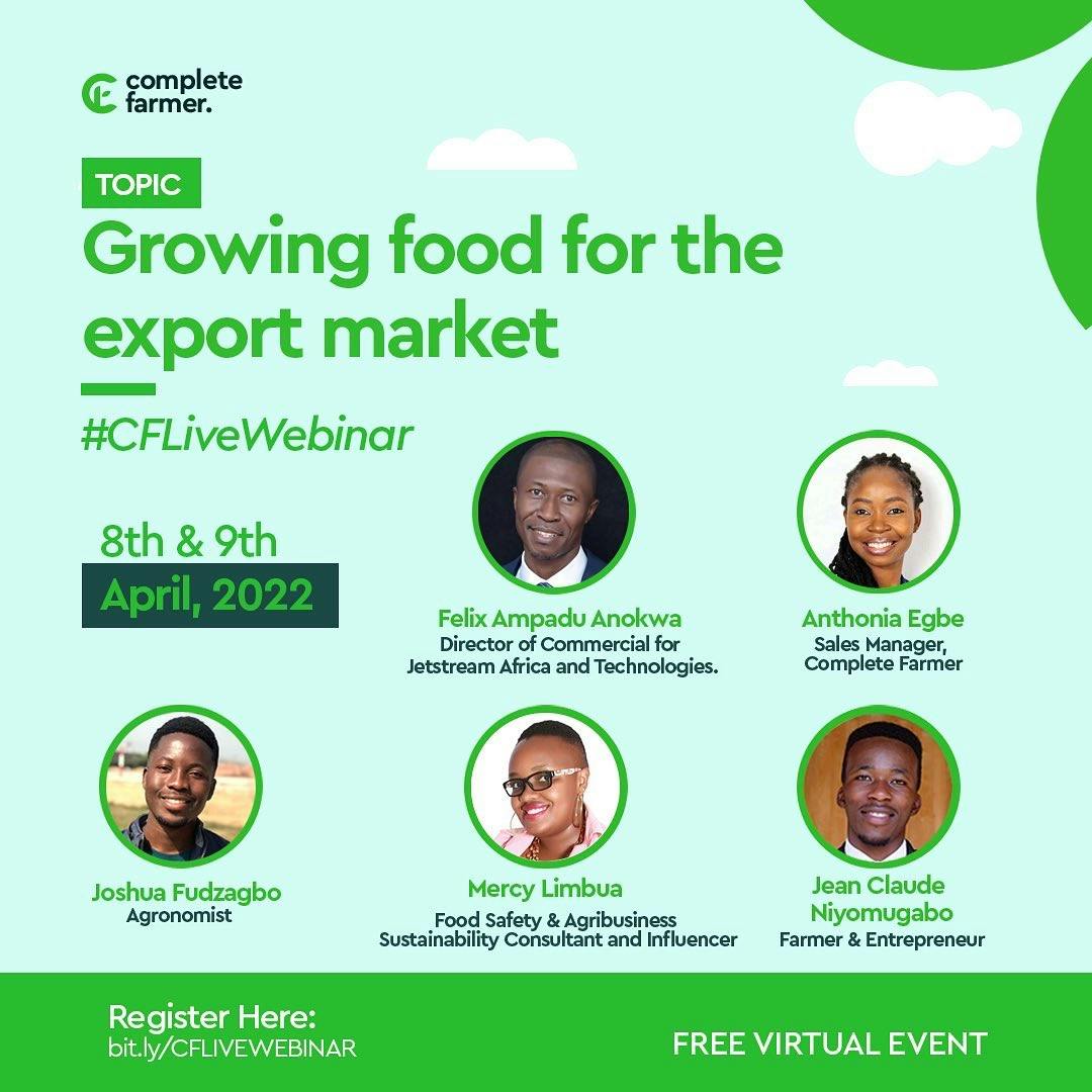 Growing Food for the Export Market