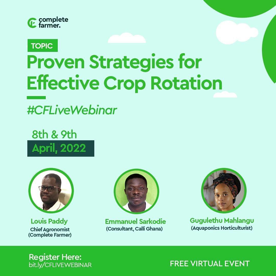 Proven Strategies for Effective Crop Rotation
