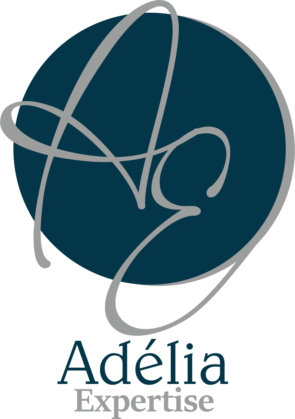 Logo ADELIA EXPERTISE