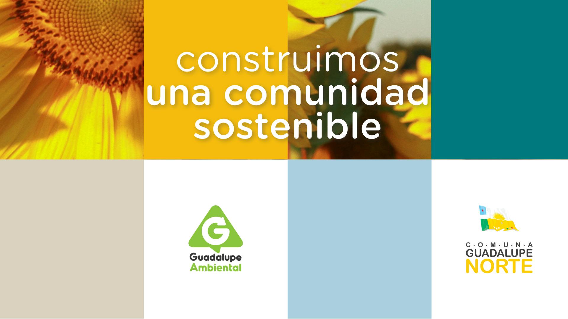 Professional Comunicación - Comunicación Gubernamental - Presentación Guadalupe Ambiental