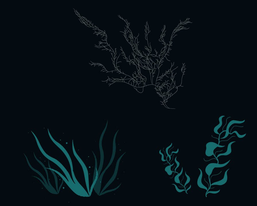 Project Illustrations