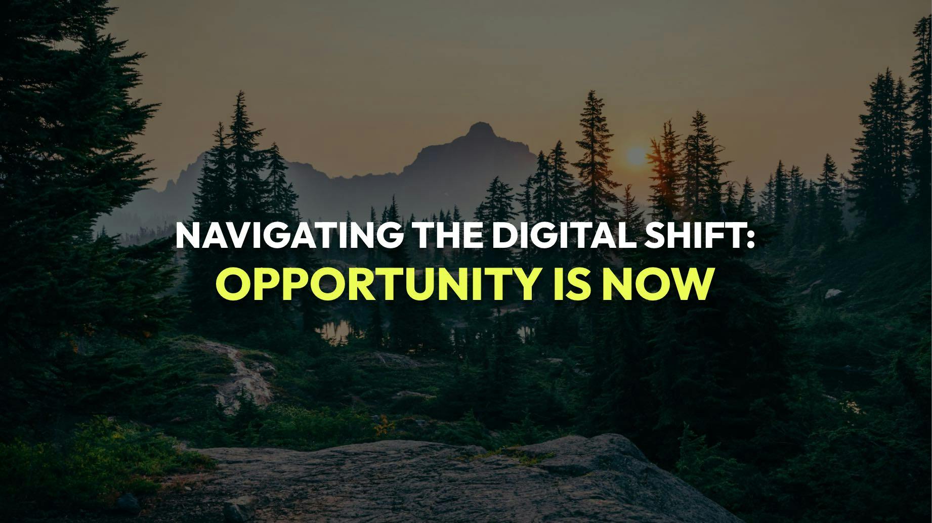 An image for a blog post titled Navigating the Digital Shift: Opportunity is now