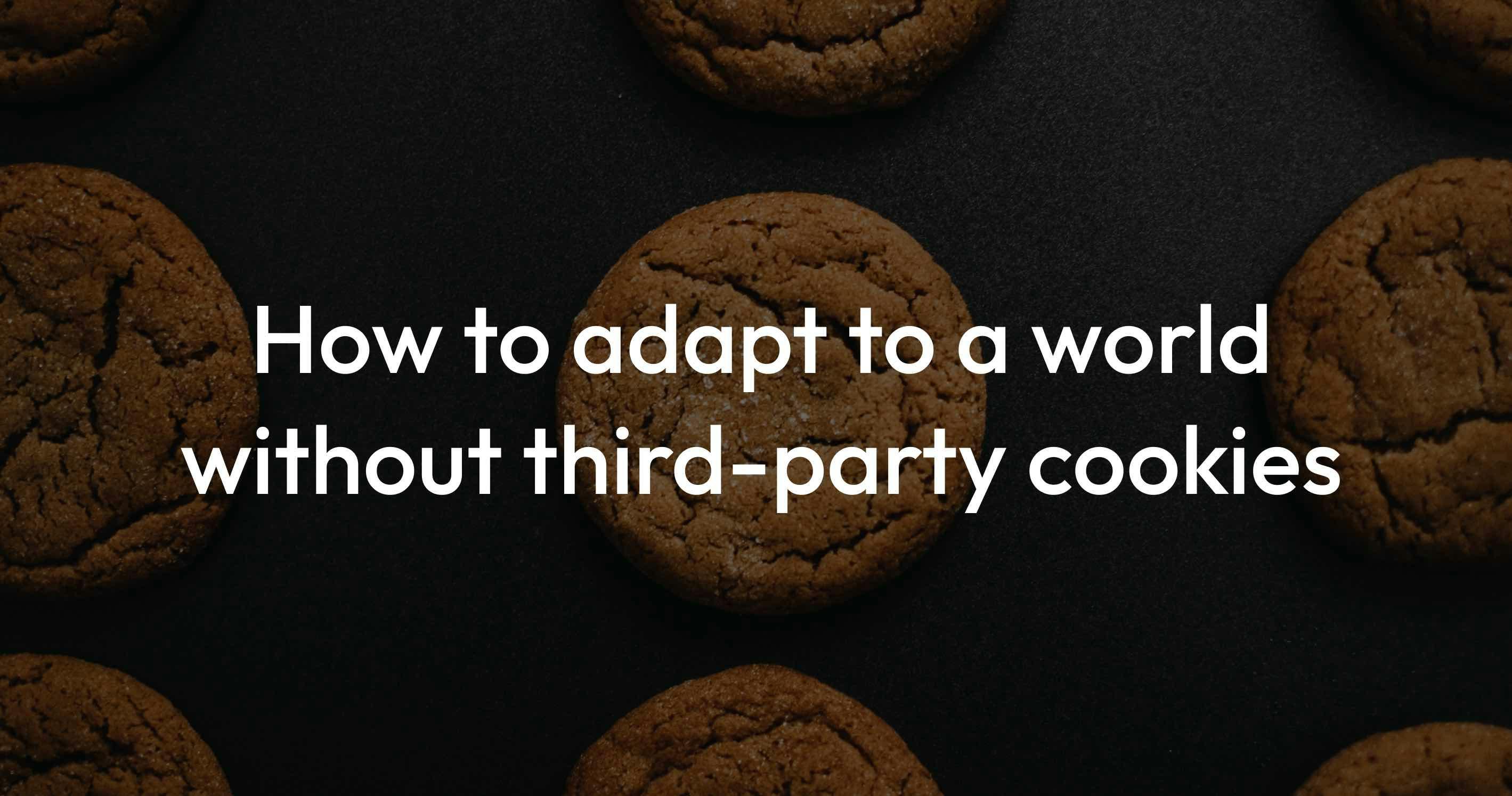 An image for a blog post titled Adapting to a World Without Third-Party Cookies: A Guide for Publishers