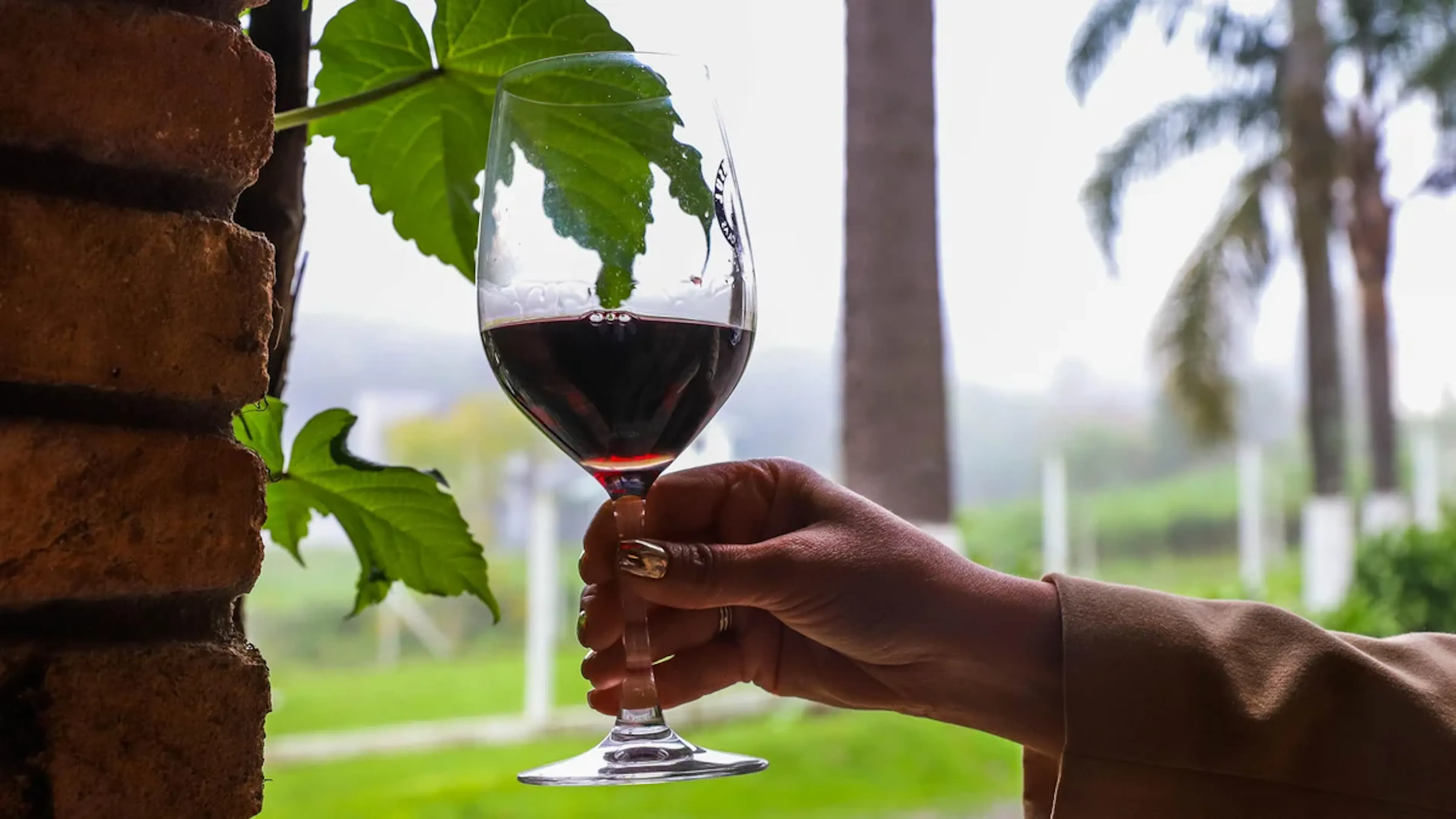 Vinhos de Caxias do Sul: Don Affonso e Tradição conquistam os principais troféus do 29º Concurso dos Melhores Vinhos