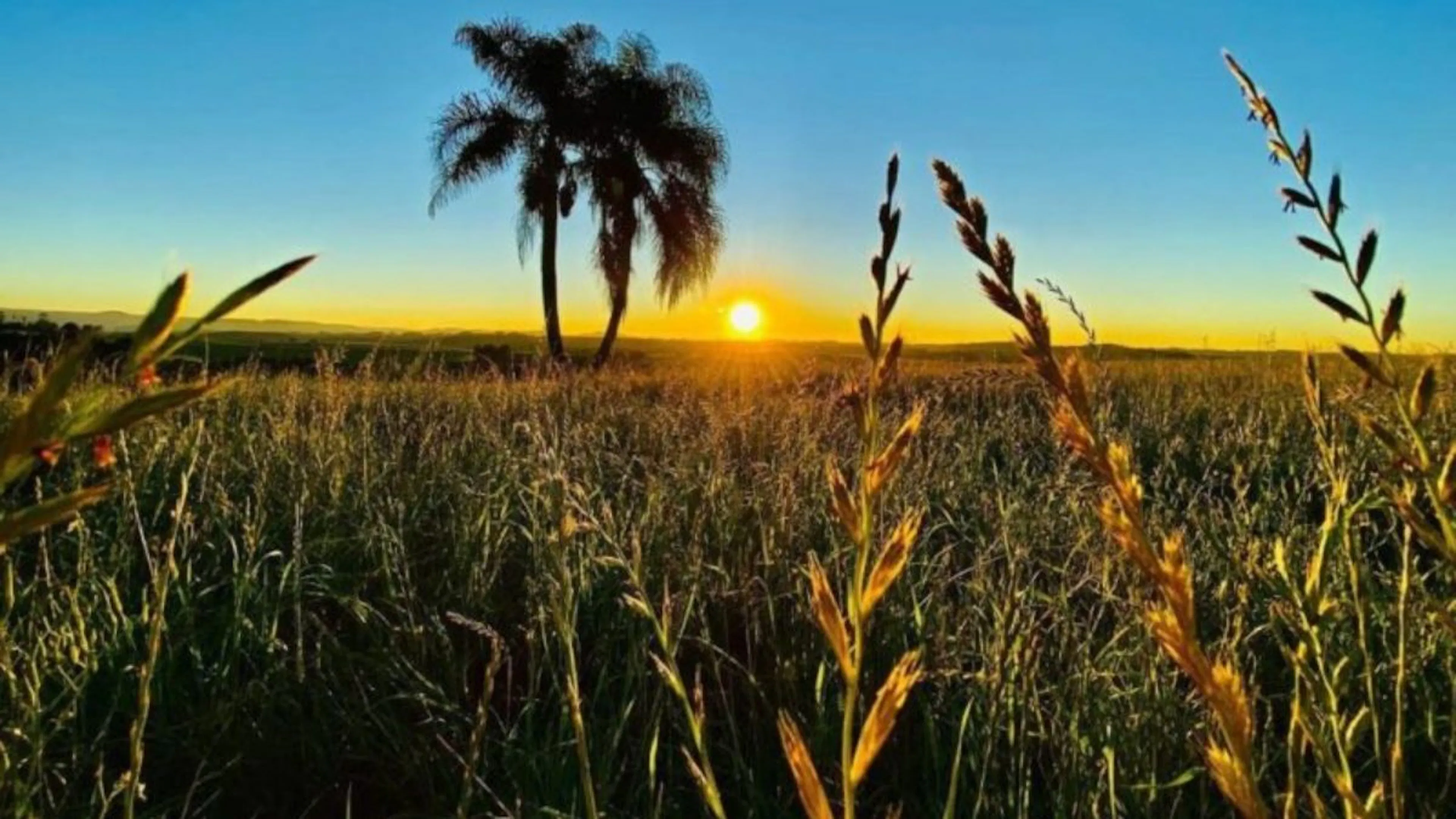 Concurso em Major Vieira (SC) abre vagas com salários de até R$ 8,4 mil