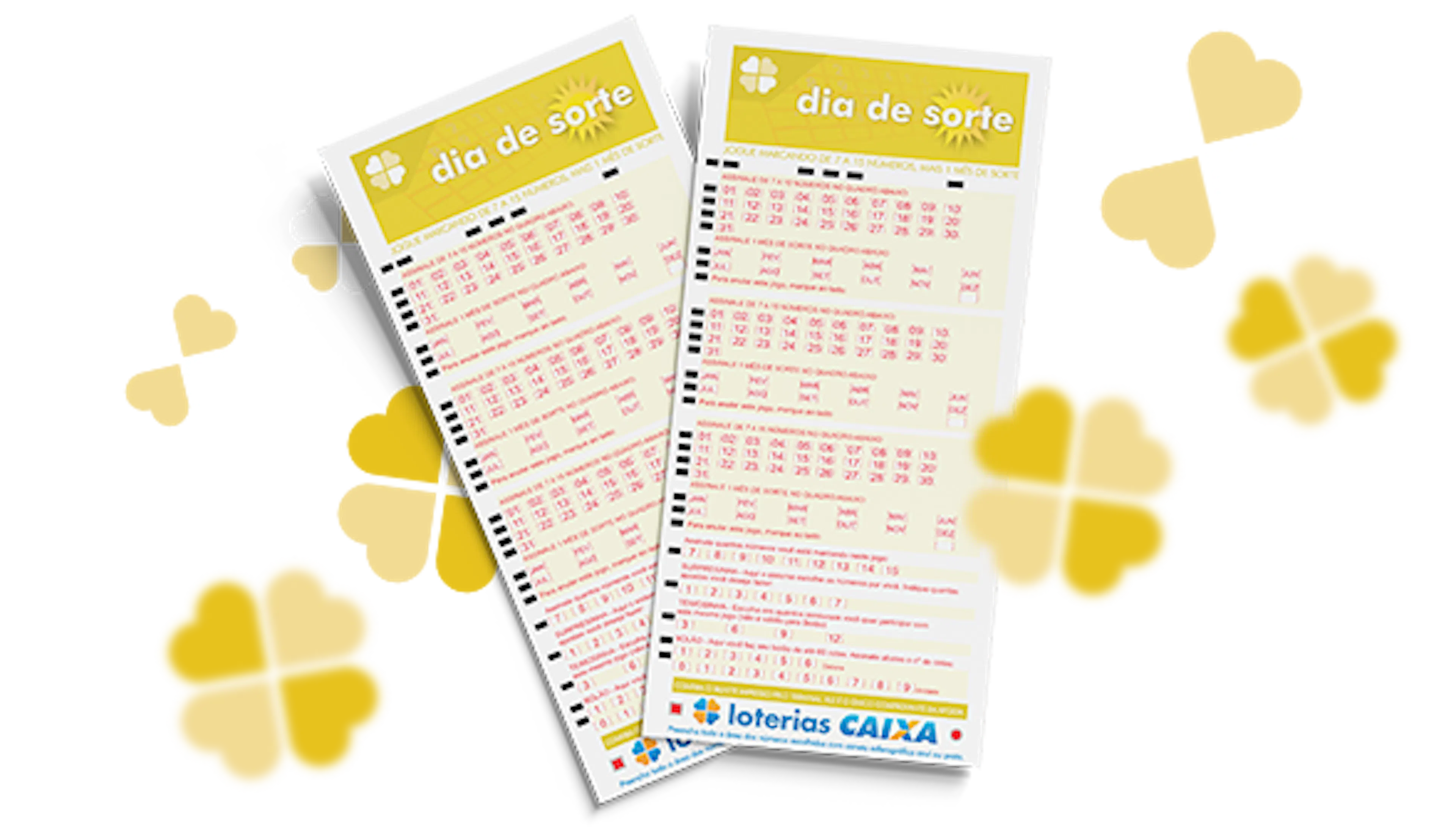 Dia de Sorte concurso 1310: veja os números sorteados nesta terça-feira (29)