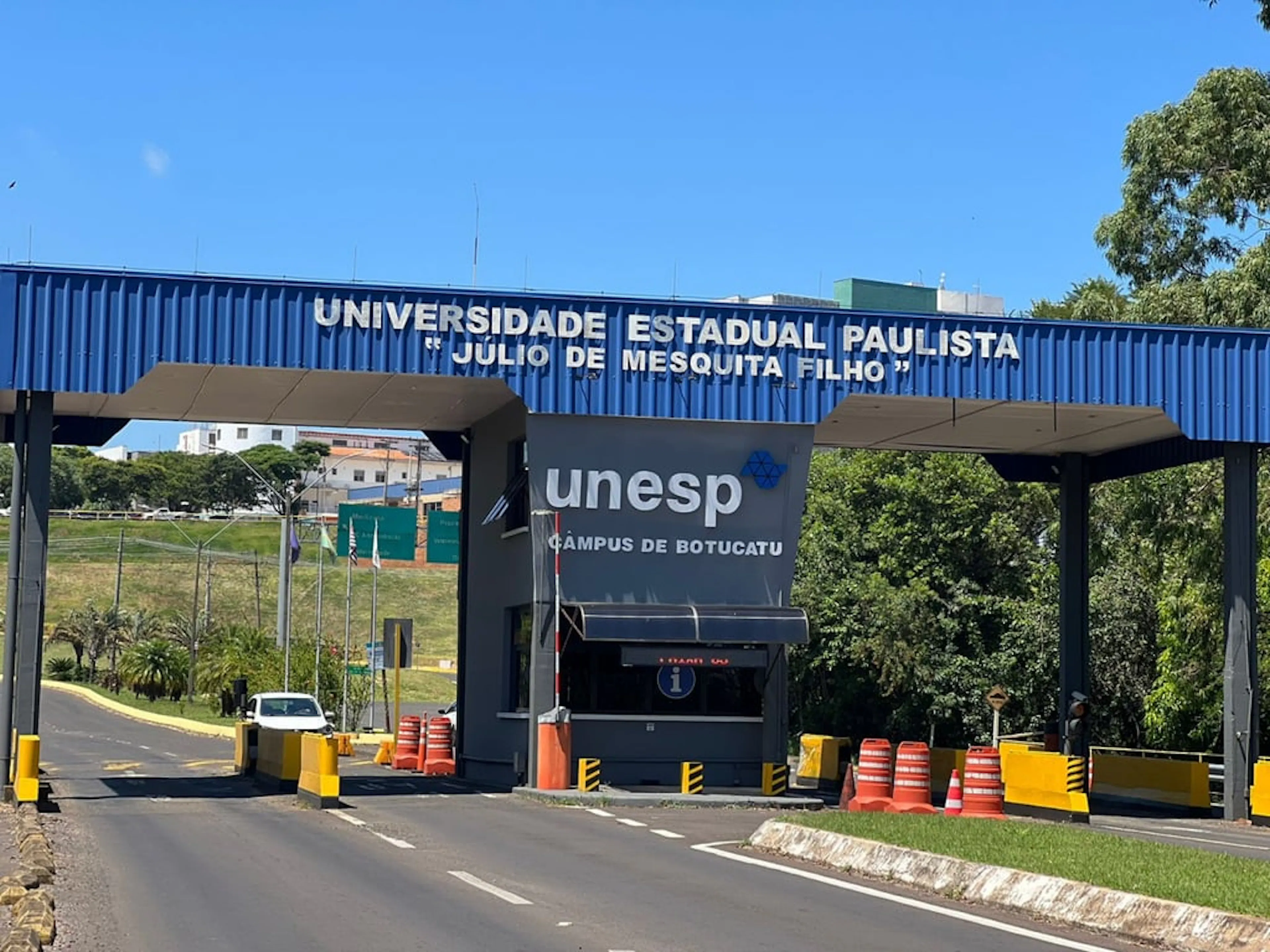 UNESP abre concurso para professor titular de Pediatria em Botucatu