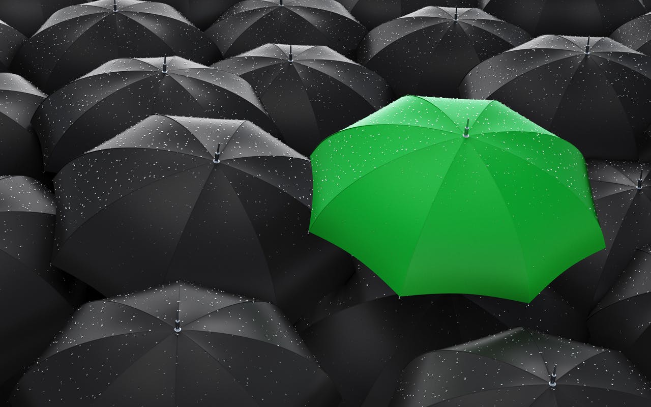 A set of black umbrellas in which a green umbrella is visible.