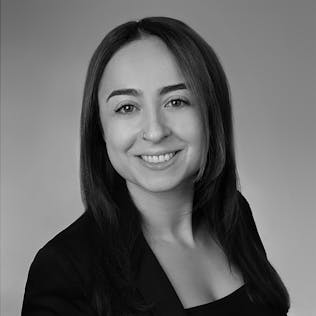 Yesim Sarioglu, Senior Consultant