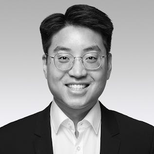 Xuan Ky Trinh, Consultant
