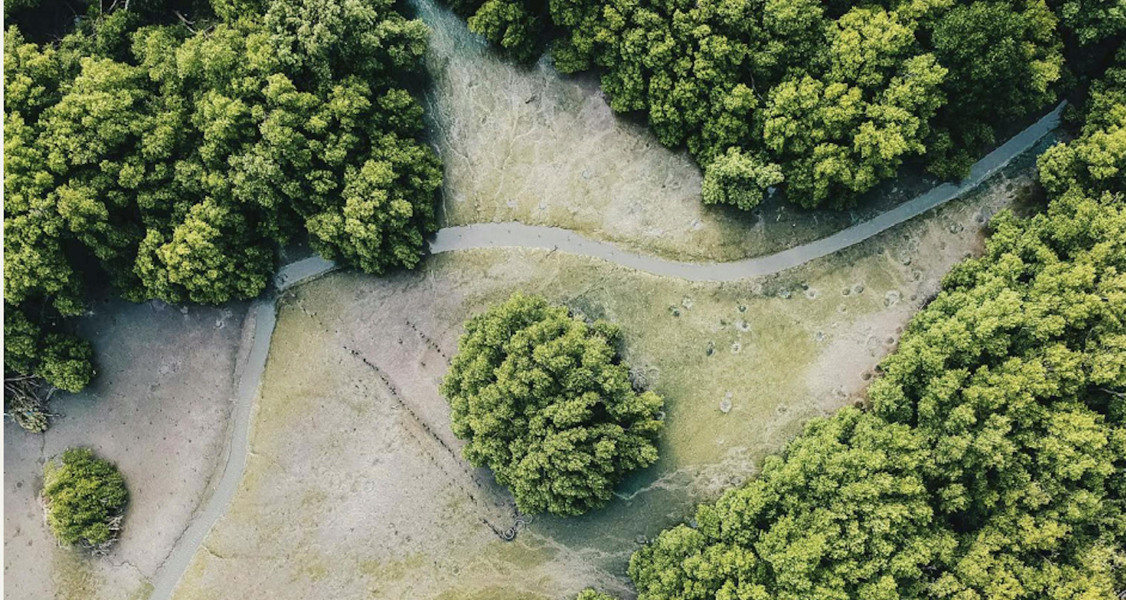 Siniya Island Natural Landscape