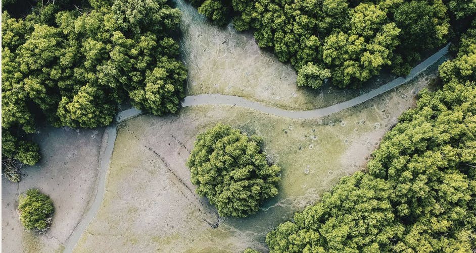 Siniya Island Natural Landscape