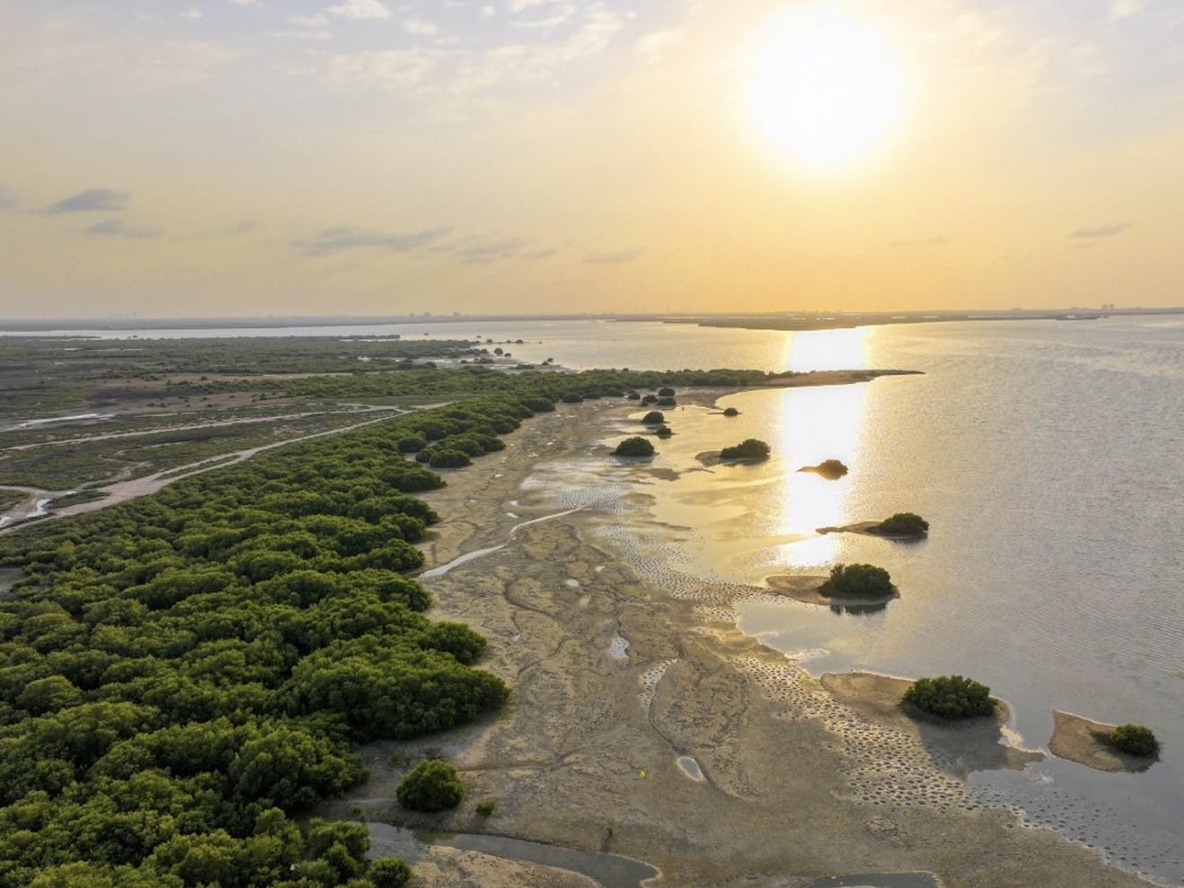 UAQ Mangrove Beach