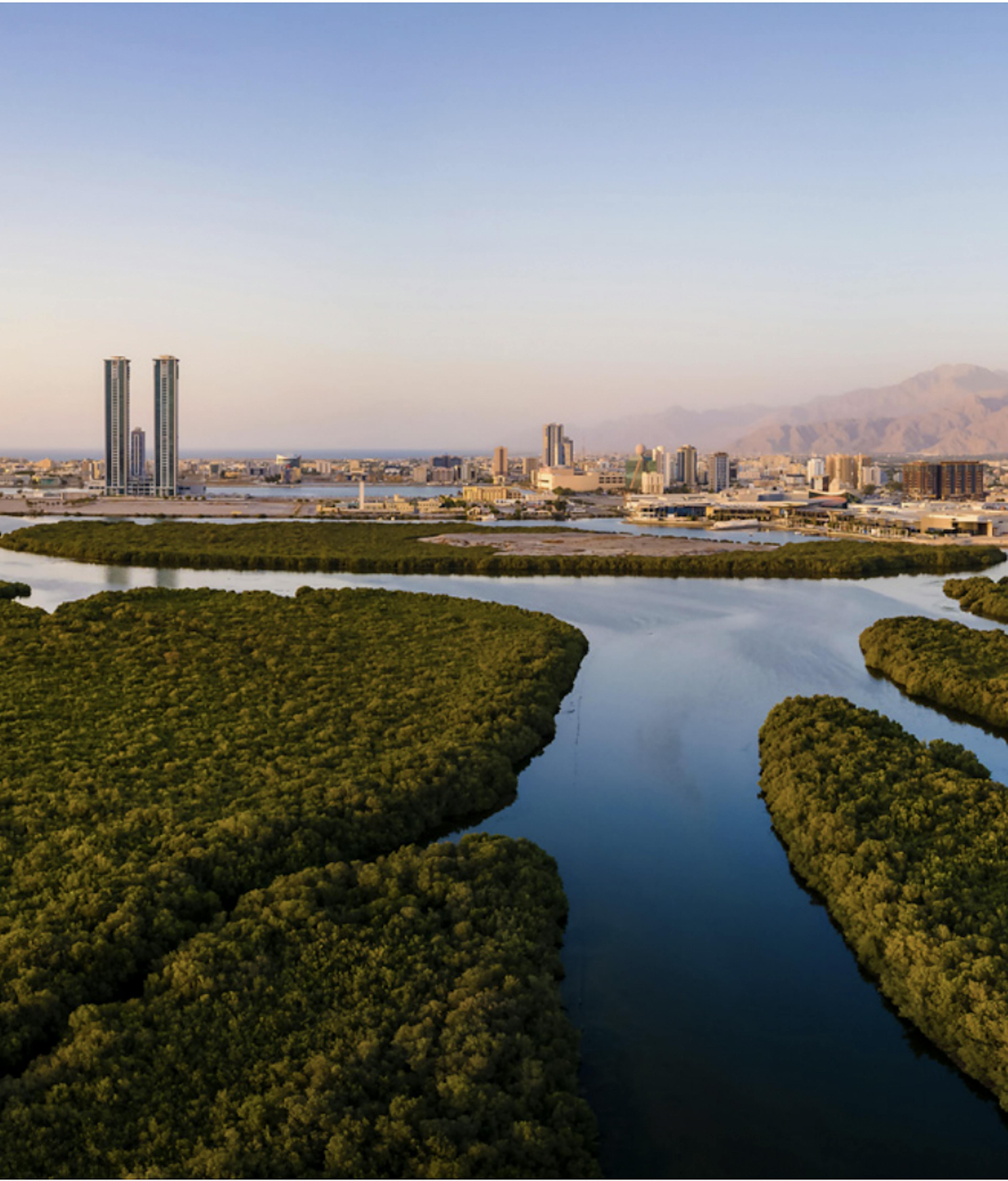 Julphar Towers & Mangroves