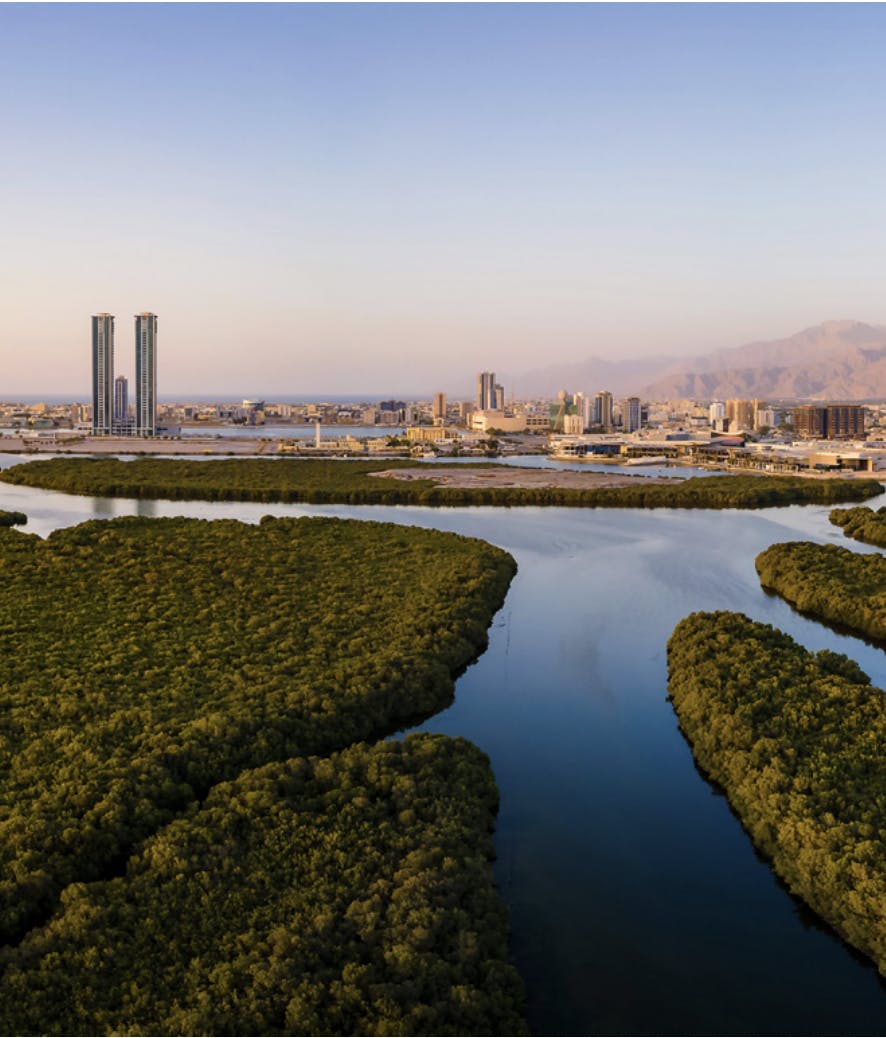 Julphar Towers & Mangroves