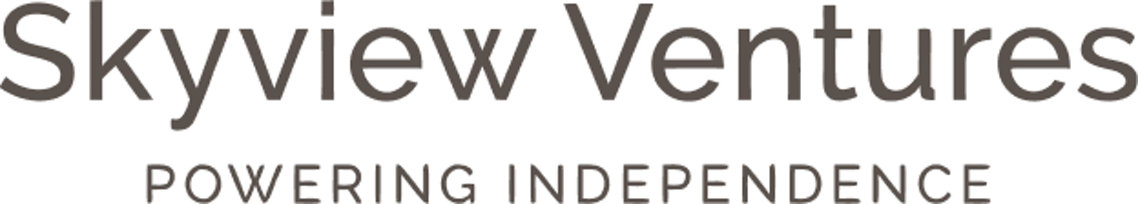 Skyview Ventures logo.