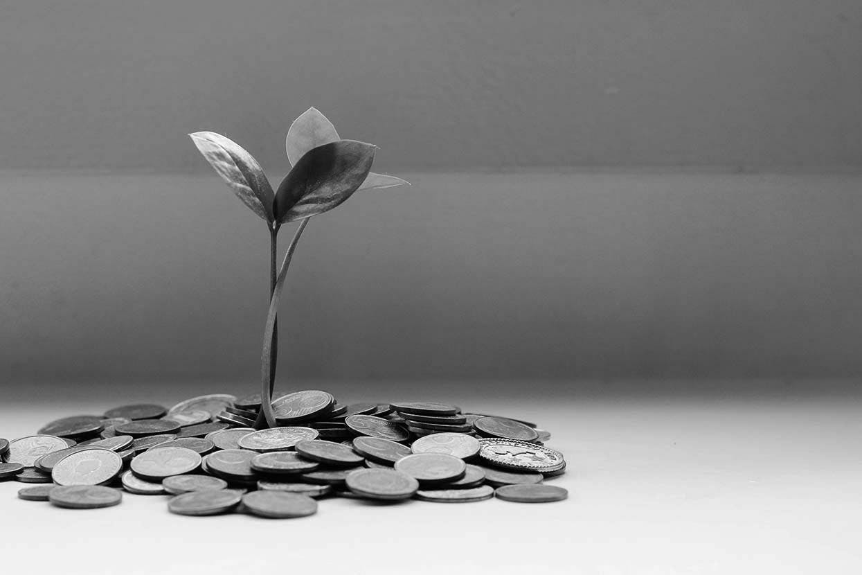 RRSP or TFSA for wealth growth