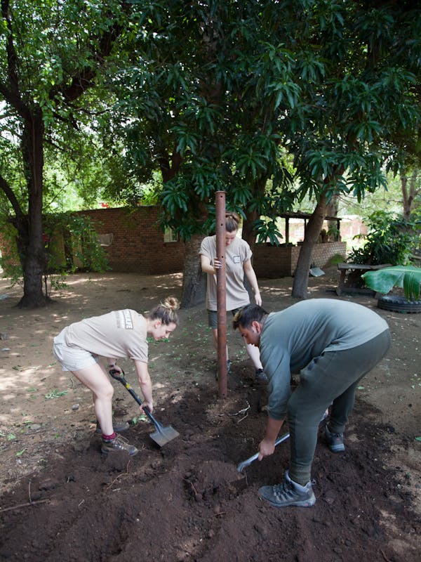 A group of students digging holes for the strut for building