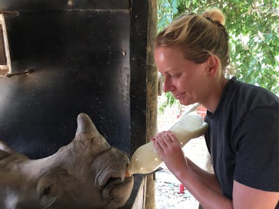 Jodie Bickhoff: bottle feeding a rhino