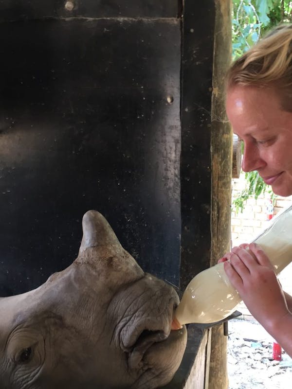 Jodie Bickhoff: bottle feeding a rhino