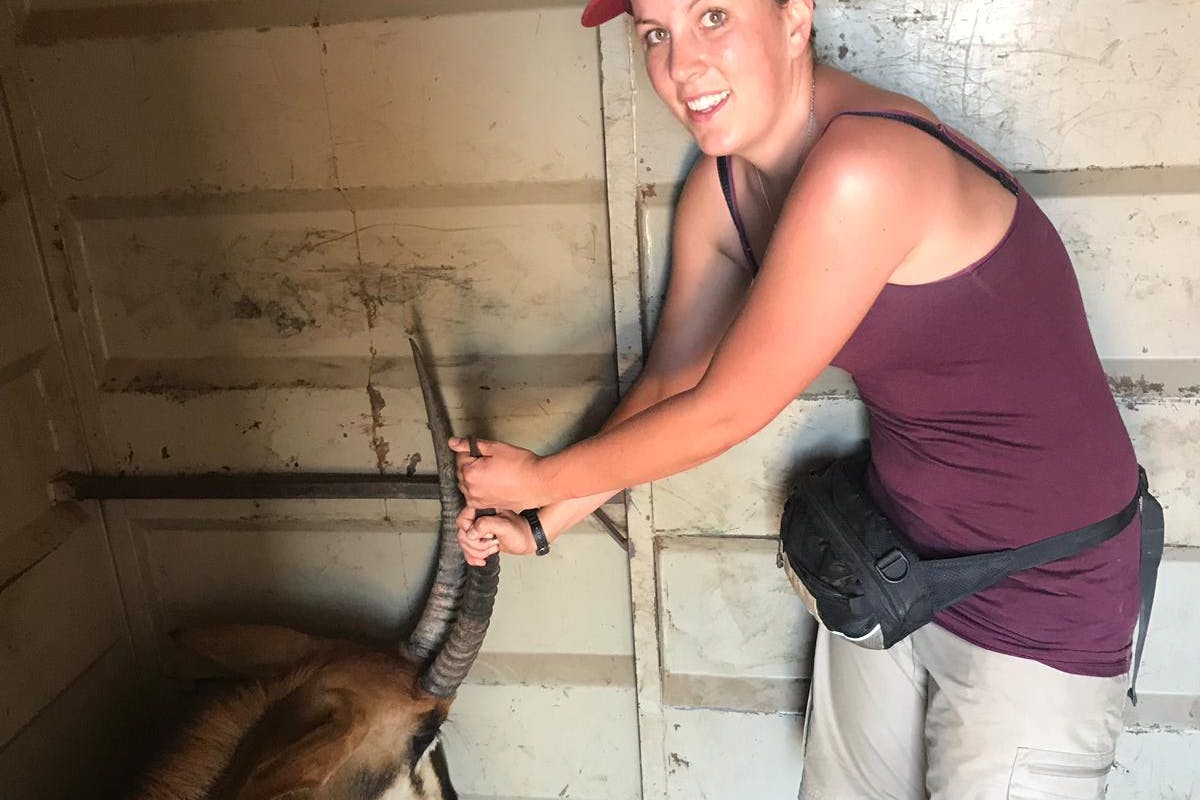 Emma Ruggles: posing with a sedated antelope