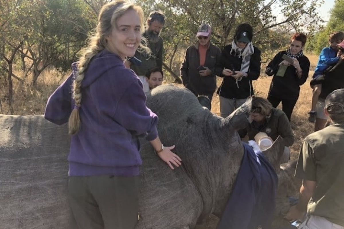 Megan Hoover: with a sedated rhino