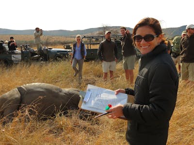 ACE volunteer smiling at the camera while monitoring a sedated rhino