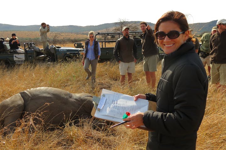 ACE volunteer smiling at the camera while monitoring a sedated rhino