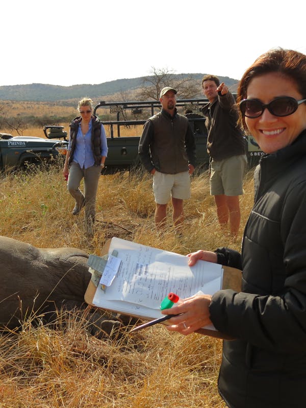 ACE volunteer smiling at the camera while monitoring a sedated rhino