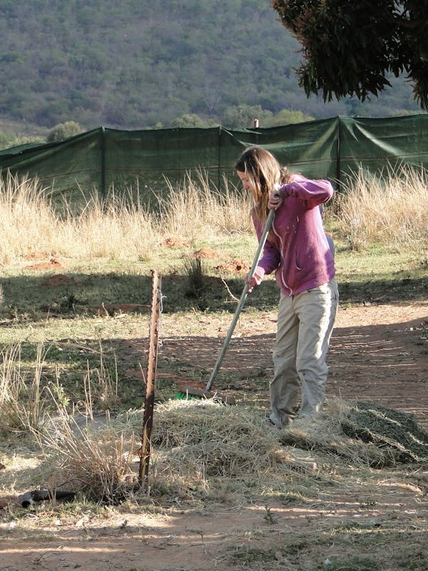 ACE volunteer sweeping and cleaning the fields at the rhino rehabilitation centre