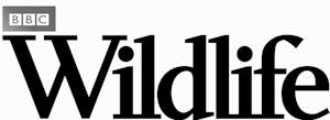BBC Wildlife Magazine Logo