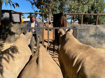 Chloe Fairston: feeding rhinos