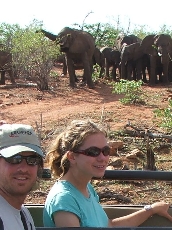 School Group viewing herd of elephants