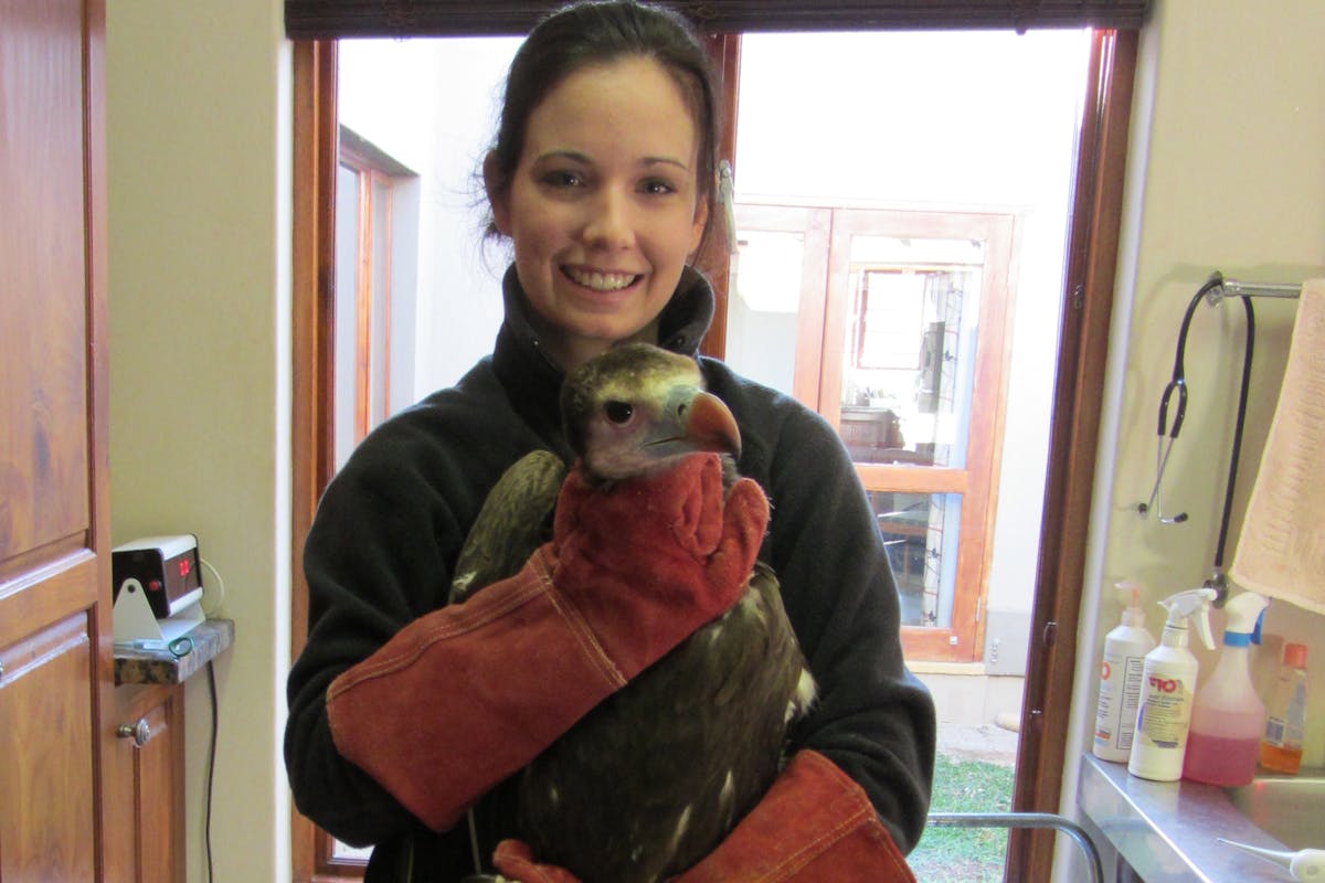 ACE volunteer posing with a healing bird in a clinic